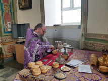 IMG_20210403_075038