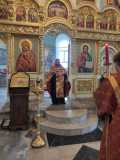 IMG-20210605-WA0025