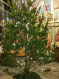 IMG_20220106_182229
