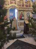 IMG-20210110-WA0012