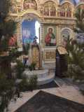 IMG-20210110-WA0022