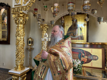 IMG_9476