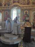 IMG-20220611-WA0022