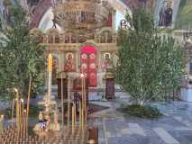 IMG-20220611-WA0026