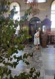 IMG-20220611-WA0027