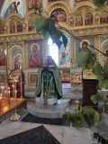 IMG-20220612-WA0027