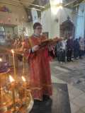 IMG-20220502-WA0008