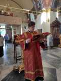 IMG-20210516-WA0008