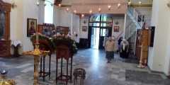 IMG-20220601-WA0011