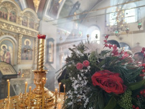 IMG_7865-2