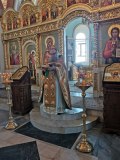 IMG_1595