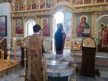 IMG-20230319-WA0015