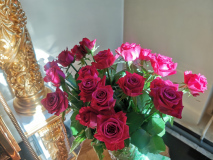 IMG_20220820_164438
