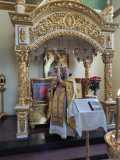 IMG-20220724-WA0006