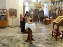 DSCN5266
