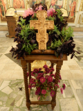 DSCN5307