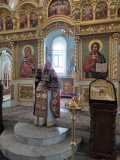 IMG-20220327-WA0028
