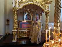 IMG-20221127-WA0008