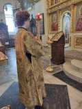 IMG-20220227-WA0020