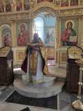 IMG-20210228-WA0019