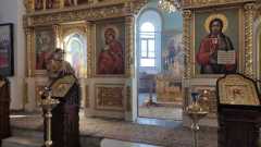 IMG-20230129-WA0016