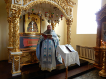 DSCN5147