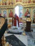IMG-20220206-WA0060