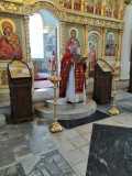 IMG-20220206-WA0063