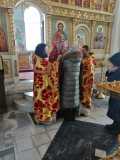IMG-20220206-WA0075