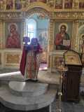 IMG-20220307-WA0010