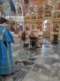 IMG-20220406-WA0017