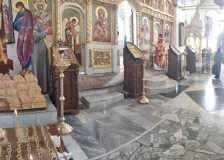 IMG-20210508-WA0012