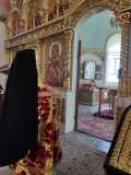 IMG-20220508-WA0013